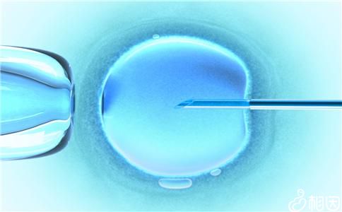 案例